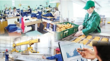 Фотография к новости: Шаруашылықтарда 42 мыңнан астам жұмыс орны ашылады