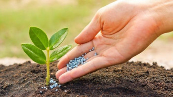 Фотография к новости: Пестицидтерді субсидиялауға 37 млрд теңге бөлінген