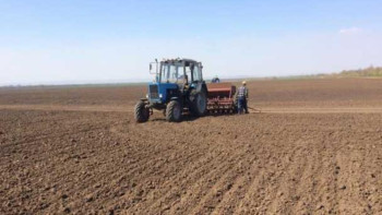 Фотография к новости: Қостанай егіншілері үш ауысыммен жұмыс істеуде