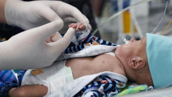 Фотография к новости: Өмір үшін күрес. Шалабайлардың тіршілігі