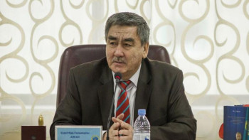 Фотография к новости: Бүркітбай Аяған: Бұл – ғалымдар, тарихшылар көптен күткен үндеу болды