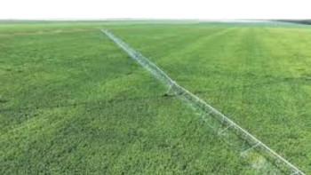 Фотография к новости: Қазақстанда 1,5 млн гектар суармалы жер бар