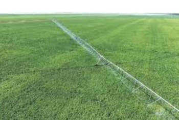 Фотография к новости: Қазақстанда 1,5 млн гектар суармалы жер бар