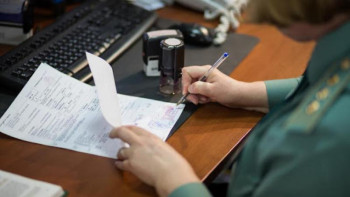 Фотография к новости: Алматыда 319 салықтық және 102 кедендік тексеріс жүргізілуде – Орынкүл Қазиева 