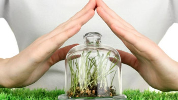 Фотография к новости: Биыл өсімдіктерді қорғау құралдарын сатып алуға 37 млрд теңге көзделген – Омаров 