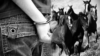 Фотография к новости: Министр кең тараған ұрлық түрлерін атады 