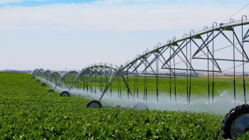 Фотография к новости: Суармалы жерлерді айналымға енгізу ауылдарда 77 мың жұмыс орнын ашады – экология министрі 