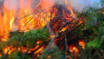Фотография к новости: Елімізде қанша орман өрті тіркелді?