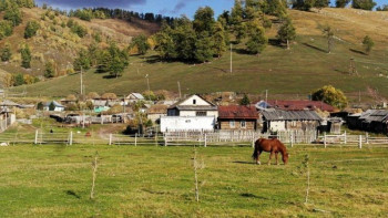 Фотография к новости: Ауыл әйелдеріне қандай қолдау көрсетіледі 