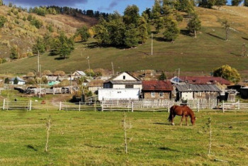 Фотография к новости: Ауыл әйелдеріне қандай қолдау көрсетіледі 