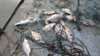 Фотография к новости: ШҚО-да жүргізілген рейд барысында балықшылардан 67 ау тәркіленді 