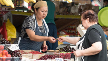 Фотография к новости: Демалыс күндері Алматыда 150 мыңға жуық адам жұмысын тоқтатады