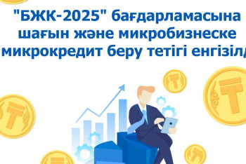 Фотография к новости: Шағын және микробизнеске микрокредит беру тетігі енгізіледі