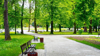 Фотография к новости: Елорда тұрғындары жанының саясы: саябақтар ұнайды  