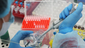 Фотография к новости: Алматы бойынша 245 мыңнан астам ПТР тест жүргізілді