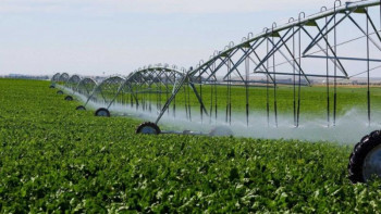 Фотография к новости: ШҚО шаруалары суармалы алқаптардың 47 пайызын кәдеге жаратуда 