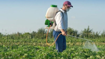 Фотография к новости: Химиялық өңдеу толығымен жоспар бойынша аяқталады - АШМ 