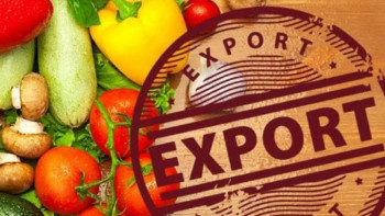 Фотография к новости: Ауыл шаруашылығының экспорттық әлеуеті нашар