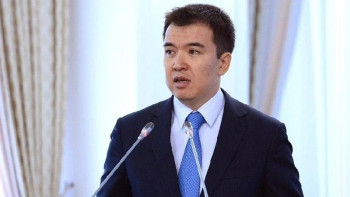 Фотография к новости: Министр бизнеске қандай көмек көрсетілетінін айтты  