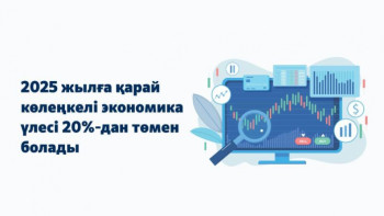Фотография к новости: 2025 жылға қарай көлеңкелі экономика үлесі 20%-дан төмен болады