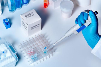 Фотография к новости: COVID-19. Ең жоғары өсім Солтүстік және Шығыс Қазақстан облыстарында тіркелді 