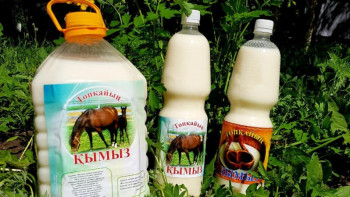 Фотография к новости: Иммунитетіңізді көтеріп, ұзақ жасағыңыз келсе, қымыз ішіңіз