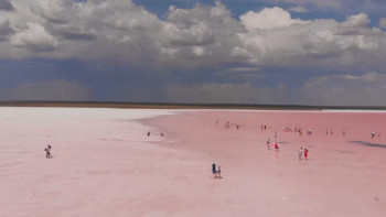 Фотография к новости: Көбейтұздың келісі 5 мың теңге тұратын тұзы вирусты емдейді. Ол қаншалықты рас?