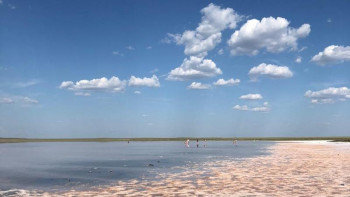 Фотография к новости: Көбейтұздан тұз алғандар жауапкершілікке тартылады