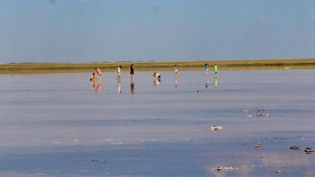 Фотография к новости: Көбейтұзды да көп көрдік пе? 