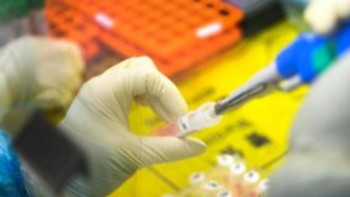 Фотография к новости: Павлодар облысында ПТР зерттеулерге 90 млн теңгеге жуық қаржы бөлінді 