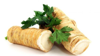 Фотография к новости: Коронавирус инфекциясын емдейтін тағы бір "ғажайып" өсімдік табылды