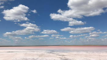 Фотография к новости: Көбейтұздың тұзын сатқандар бірнеше бап бойынша жауапқа тартылады  