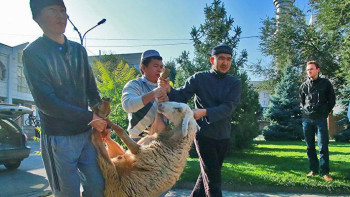 Фотография к новости: ﻿Азаматтар онлайн құрбандық шала алады