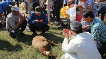 Фотография к новости: Алматыда құрбандық шалу онлайн режимде ұйымдастырылады