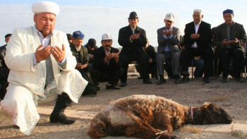 Фотография к новости: Құрбан айт: Алматы аумағында мал сатуға және союға тыйым салынды