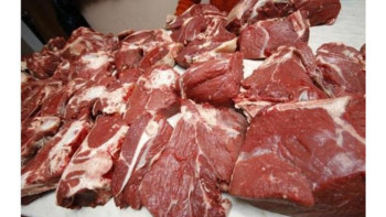 Фотография к новости: Құрбан айт. Етке мұқтаж 2,5 мың адам онлайн өтініш жасаған  