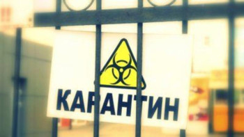 Фотография к новости: Карантин. Бұл шешімге толық негіз бар 
