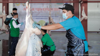 Фотография к новости: 875 қой, 30 ірі қара. Елордада құрбандық шалынып жатыр