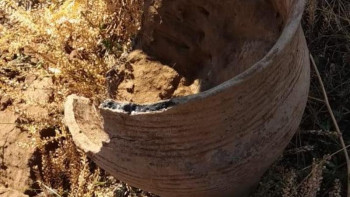 Фотография к новости: Ертіс өңірінде құрылысшылар қола дәуірінің артефактілерін тауып алды