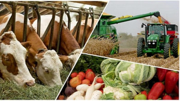 Фотография к новости: "Qoldau" жүйесінен шаруаларға қолдау болмай тұр