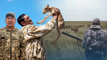 Фотография к новости: Киіктің киесі мен иесі 