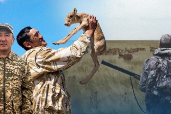 Фотография к новости: Киіктің киесі мен иесі 