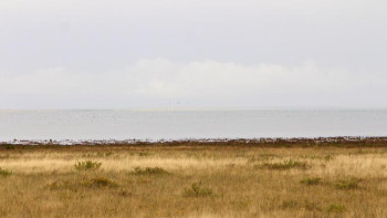 Фотография к новости: Қорғалжын қорығы мен оны қорғаушылар 