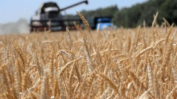 Фотография к новости: Егін жинау жұмыстары қалай жүргізіліп жатыр? 