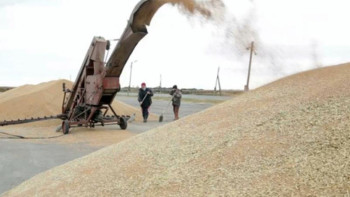 Фотография к новости: Жиналған егінді сақтау қоймалары жеткілікті - министр