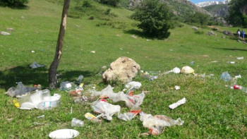 Фотография к новости: Мырзағалиев табиғатқа келтірген зардап үшін қанша айыппұл салынатынын айтты