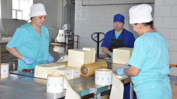 Фотография к новости: Көкшетаулық кәсіпорын жаңа өндірістік желіні іске қосты 