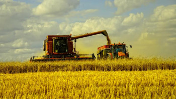 Фотография к новости: Егінді шығынсыз жинау басты міндетіміз – Айдарбек Сапаров