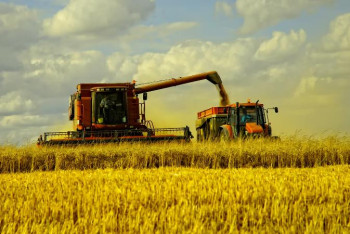 Фотография к новости: Егінді шығынсыз жинау басты міндетіміз – Айдарбек Сапаров