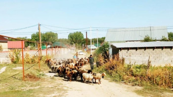 Фотография к новости: Енді фермерлер несиеге өтінімді үйінде отырып-ақ бере алады